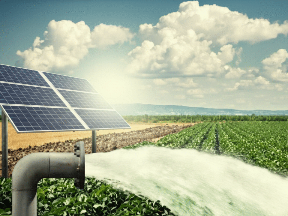 Solar-Powered Tube Wells & Irrigation in Punjab: Benefits and Risks